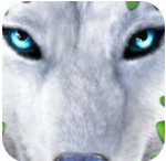 �ռ�Ұ��ģ����