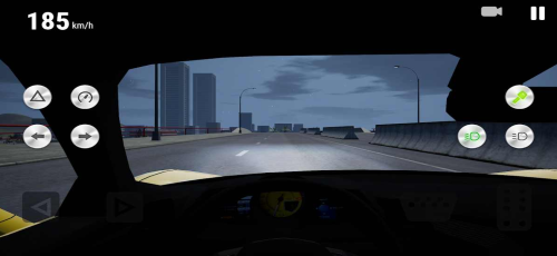 ��ʵ��ʻѧУ