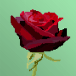 ����ը��