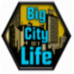 ����е�����ģ����