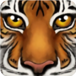 ���ֶ���ģ����