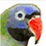 ��ʴ���Ա v2021 �ٷ���