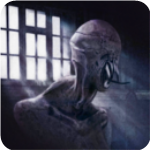 ����׷����