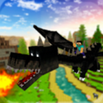 �������Ĺ���