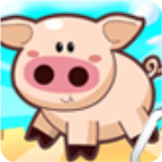 ���Ŀڴ�ũ��