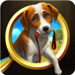 ����֮��ð��֮��̽��