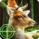 ��¹��������