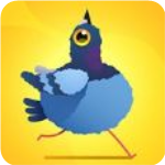 ���ĸ���