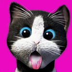 �ҵ�����è��