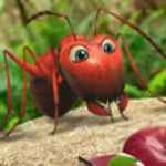 �����о���