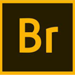 Adobe Bridge(�ļ���Դ��������) v11.1.0.175 �ƽ��