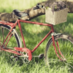 3dģ�����г�ԽҰ