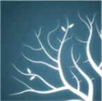 Lumion11(3D��Ⱦ����) v11.0 �ƽ��