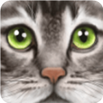 �ռ�è��ģ����