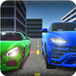 ��ʵ�����ʻԱ