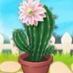 ����ֲ�ﻨ԰