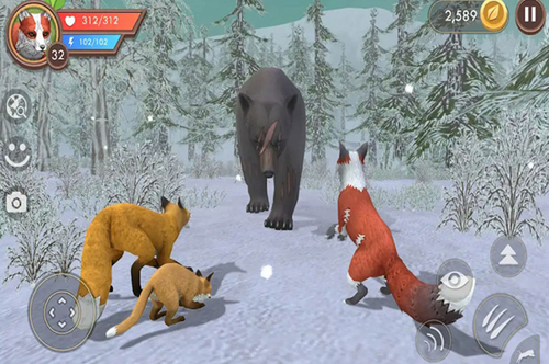 ��������