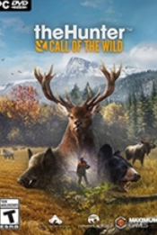 ����Ұ�Եĺ��� �ƽ��