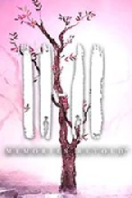 11-11�������� steam��