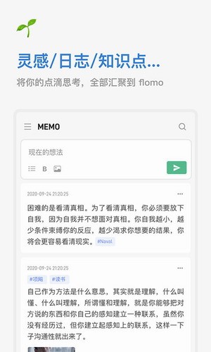 flomo1