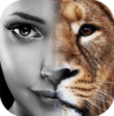 Instaface������