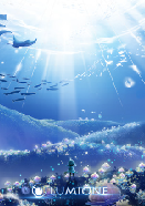 ���֮�� ������