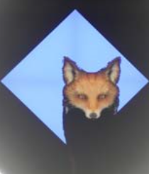 �ѷ��ƻ��� ���İ�