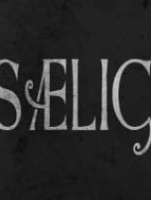 SAELIG v33 ���İ�