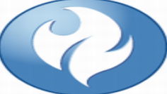 Appscan(©��ɨ�蹤��) v10.0.0 ���԰�