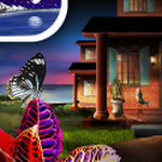 ��ά������