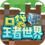 �ڴ���������