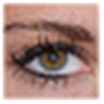 mrViewer(��Ƶ������) v6.1.6 �ٷ���