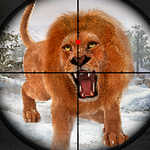 �����Ǵ���