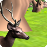 �ǳ���ͨ�ı�ͽ¹