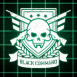 ��ɫ����