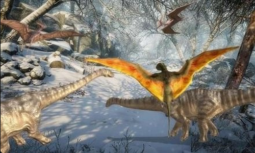 ����ģ����