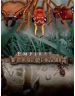 �����Ϲ� ����