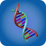 �����ܲ�