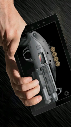 ����������ʦ