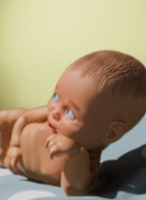 ����ģ���� ���İ�