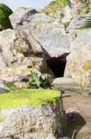 ��Ѩ̽���� ������