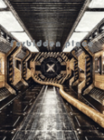 ����֮�� �ƽ��