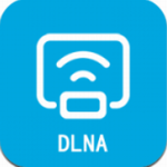 dlanͶ��