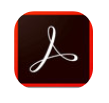 Adobe Acrobat X Pro(PDF�칫����) v11.0.5 �ƽ��