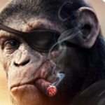 Գ������