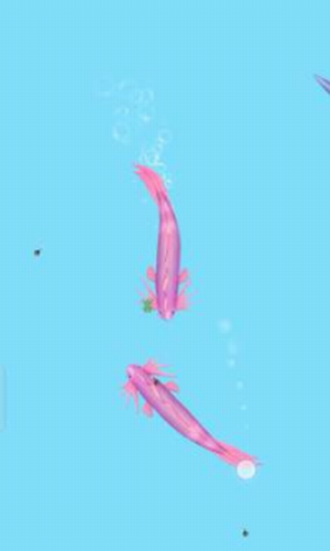 ��Ҫ�ٻ�����