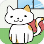 �ҵ�è�����Ķ�