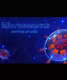 ϸ������ս2 �ƽ��