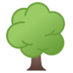 ������������ v1.0 ��ɫ��