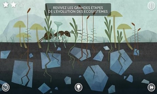 ���ּ��ڱ仯